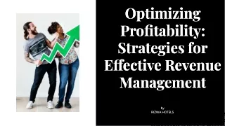 optimizing-profitability-strategies-for-effective-revenue-management-