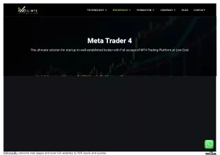 www_mt4greylabel_com_meta-trader-4_