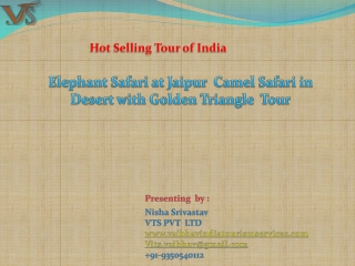 Hot selling tour of India