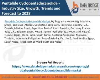 Pentalide Cyclopentadecanolide Market