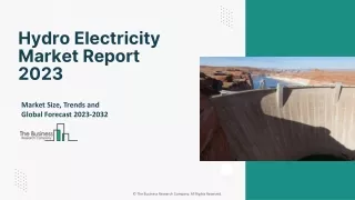 Hydro Electricity Market