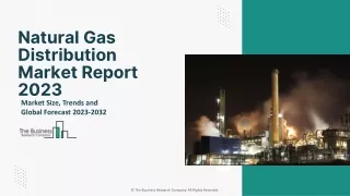 Natural Gas Distribution Market