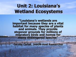 Unit 2: Louisiana’s Wetland Ecosystems