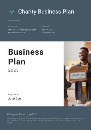 Charity Business Plan Example Template