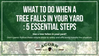 Keep Calm and Follow These 5 Steps When a Tree Falls in Your Yard