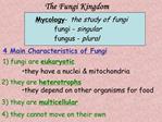 Fungi Kingdom