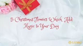 5 Christmas Flowers Which  Add Magic to Your Day