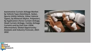 Automotive Curtain Airbags Market PDF