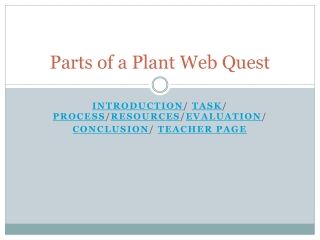 Parts of a Plant Web Quest