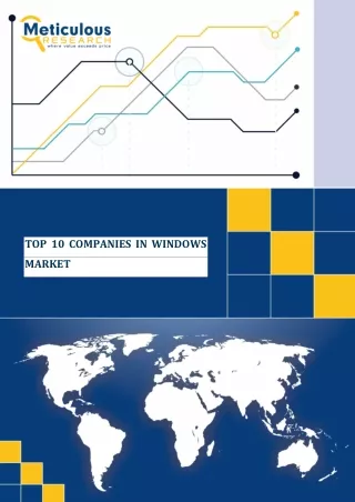 TOP 10 COMPANIES IN WINDOWS MARKET