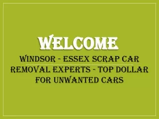 Looking for the best Cash for Cars in Edgewater Beach?