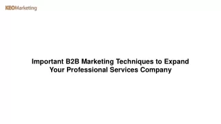 Important B2B Marketing Techniques to Expand Your Professional Services Company