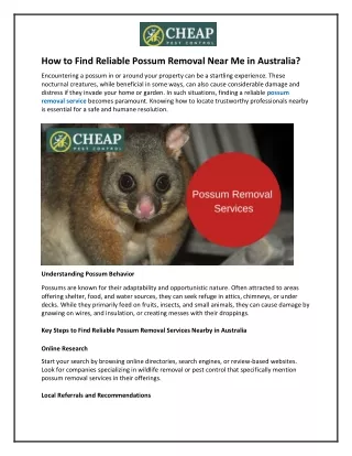 How to Find Reliable Possum Removal Near Me in Australia