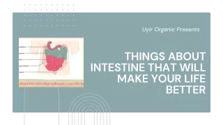 Things about Intestine that will make your life better