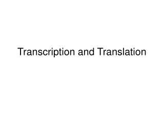 Transcription and Translation