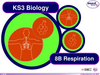 ks3 biology boardworks presentation digestion food ppt powerpoint slideshare