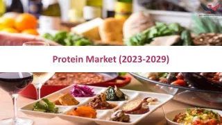 Protein Market Trends, Size, Share, Forecast 2029