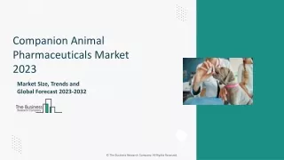 Companion Animal Pharmaceuticals
