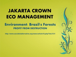 Jakarta Crown Eco Management| Environment: Brazil's Forests