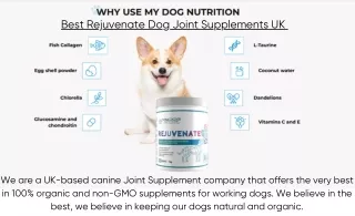 Best Rejuvenate Dog Joint Supplements UK