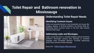 Toilet Repair and  Bathroom renovation in Mississauga