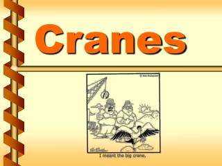 Cranes