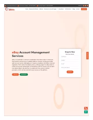 Top Ebay Account Management Services in Gurgaon