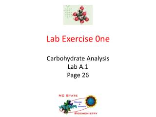 Lab Exercise 0ne