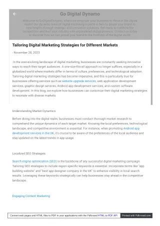 Tailoring Digital Marketing Strategies for Different Markets