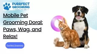 Mobile Pet Grooming Doral: Paws, Wag, and Relax!