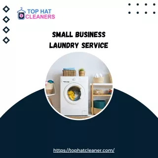 Small Business Laundry Service