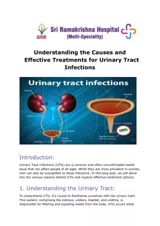 Understanding the Causes and  Effective Treatments for Urinary Tract  Infections