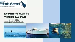 Best Adventure Tour in Espiritu Santo La Paz