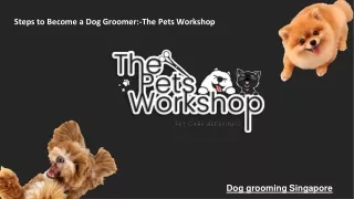 Steps to Become a Dog Groomer-The Pets Workshop