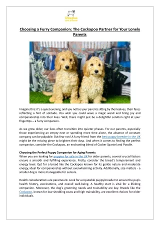 Charming Cockapoos | Puppies for Sale UK | Birmingham's Best Breeder