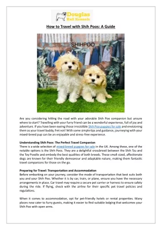 Charming Shih Poo Puppies for Sale | Tips for Travelling with Your Furry Friend