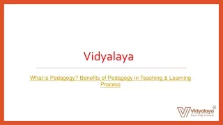 What is Pedagogy Benefits of Pedagogy in Teaching & Learning Process