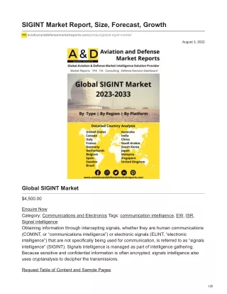 SIGINT Market Report Size Forecast Growth