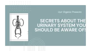 Secrets about the Urinary system you should be aware of!