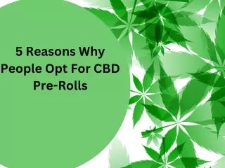 5 Reasons Why People Opt For CBD Pre-Rolls