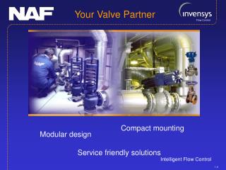 Your Valve Partner