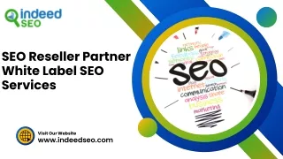 Premier White Label SEO Reseller Services in America