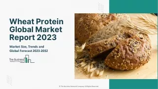 Wheat Protein Market Size, Share, Trends Analysis And Future Forecast To 2032