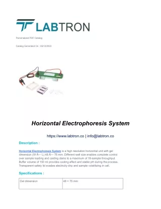 Horizontal Electrophoresis System