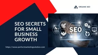 SEO Secrets for Small Business Growth