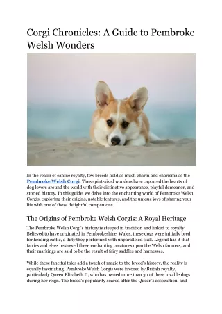 Corgi Chronicles: A Guide to Pembroke Welsh Wonders