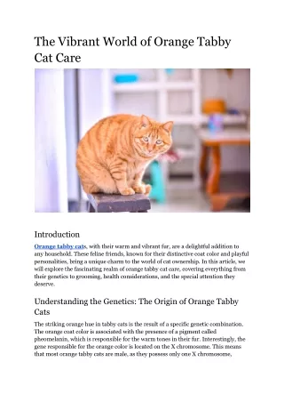 The Vibrant World of Orange Tabby Cat Care