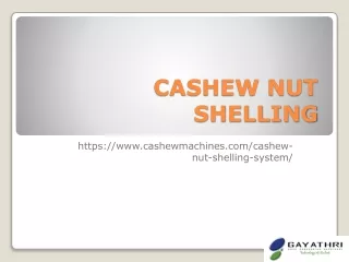 Cashew Nut Shelling System | Advanced Cashew MachinesNut Decorticating Machine,