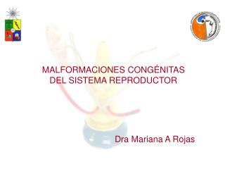 Dra Mariana A Rojas