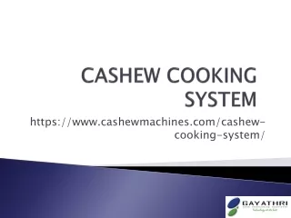 Cashew Cooking System: Steam Boiler, Cooker/Roaster | Cashew Machines